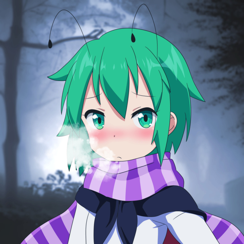 1girl anime_coloring antennae bangs black_cape blurry blurry_background blush breath cape cato_(monocatienus) closed_mouth commentary_request flat_chest frown green_eyes green_hair highres long_sleeves looking_at_viewer nose_blush purple_scarf red_cape scarf shirt short_hair solo striped striped_scarf touhou tree two-sided_cape two-sided_fabric white_shirt wriggle_nightbug