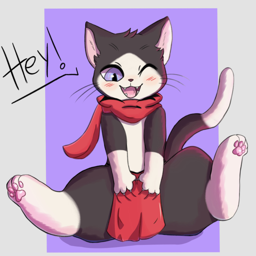 ambiguous_gender black_body black_fur cute_fangs domestic_cat feet felid feline felis fur hi_res loinclothing male_(lore) mammal open_mouth pawpads purple_eyes semi-anthro sitting smile solo twizzlrs whiskers white_body white_fur