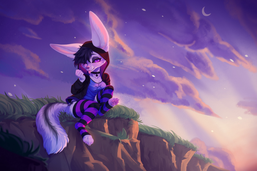 absurd_res adra_(tiddles) anthro big_ears canid canine clothed clothing collar detailed_background female fennec fox fur grass hair hi_res hoodie legwear mammal nekoyashiki pawpads paws pink_pawpads plant purple_eyes purple_hair raised_clothing raised_hoodie raised_topwear sky solo thigh_highs tongue tongue_out topwear white_body white_fur