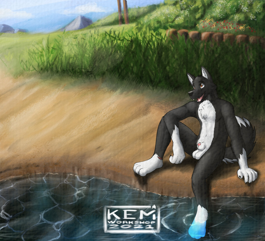 akita animal_genitalia anthro balls beach canid canine canis casual_exposure casual_nudity domestic_dog foot_in_water fur genitals hi_res kemi_workshop male mammal multicolored_body multicolored_fur nude outside paws plant public public_nudity seaside sheath sitting solo spitz sunny water