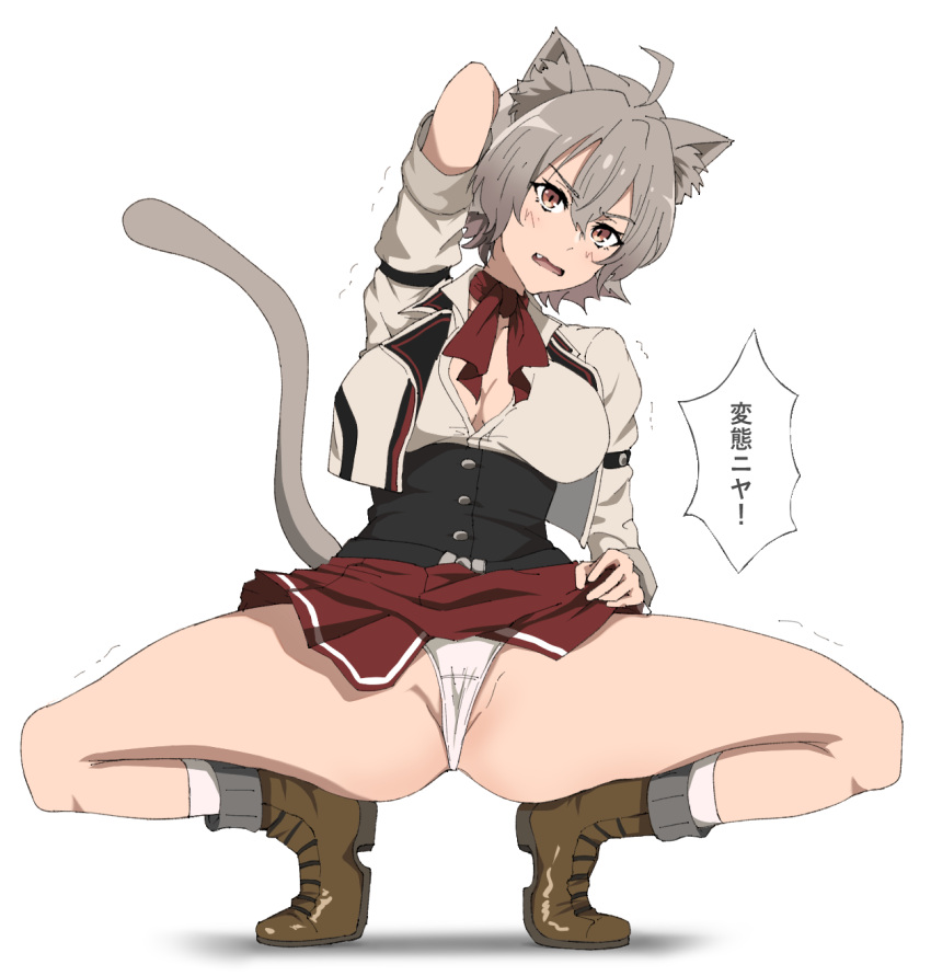 1girl ahoge animal_ear_fluff animal_ears blush breasts cat_ears cat_girl cat_tail fang full_body highres kneeling long_sleeves morime mushoku_tensei open_mouth panties pleated_skirt red_skirt rinia_dedoldia school_uniform shirt short_hair skirt socks solo spread_legs tail underwear white_background white_panties white_shirt