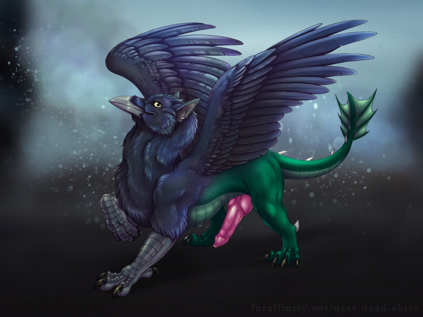 4:3 blue_body blue_feathers chimera cook dark_green dragon erection feathers genitals hybrid knot mythological_creature mythological_scalie mythology penis pose raven_colors reven scales scalie yellow_eyes