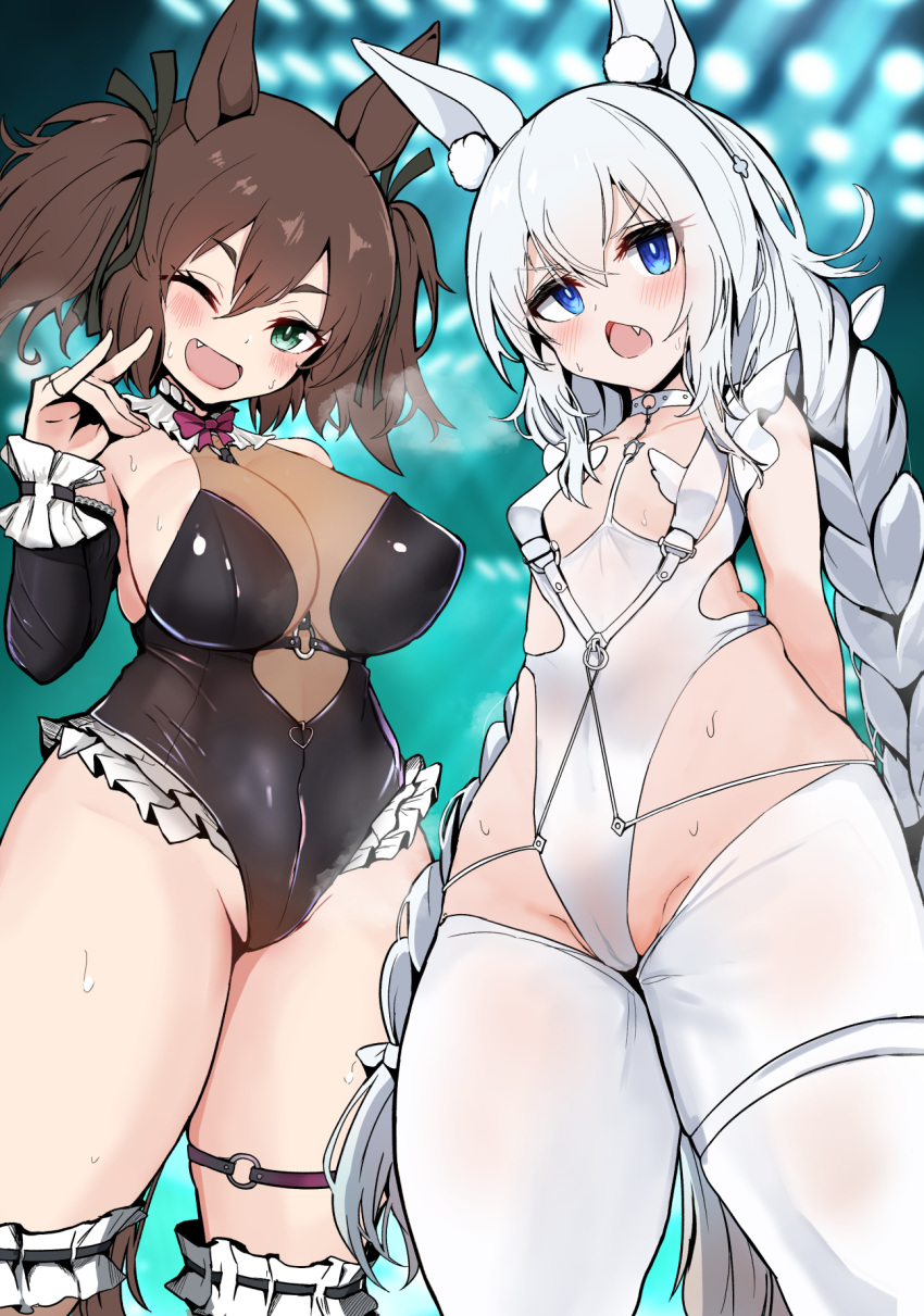 2girls akizuki_shigure animal_ears arms_behind_back black_leotard blue_eyes blurry blurry_background blush braid breasts choker cleavage commentary_request cowboy_shot fang fox_shadow_puppet frilled_thighhighs frills grey_hair groin hair_between_eyes highleg highleg_leotard highres horse_ears horse_girl inari_one_(umamusume) large_breasts leotard long_hair multiple_girls o-ring one_eye_closed open_mouth pantyhose see-through see-through_cleavage small_breasts stage_lights sweat tamamo_cross_(umamusume) thighhighs twin_braids twintails umamusume very_long_hair white_background white_choker white_pantyhose