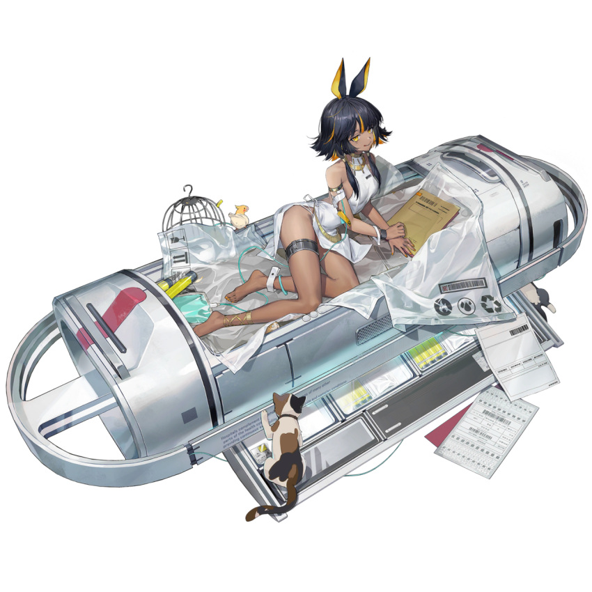 1girl animal_ears anklet arrow_(symbol) bare_hips bare_legs barefoot black_hair cat cryogenic_pod dark-skinned_female dark_skin egyptian girls'_frontline_neural_cloud gold highres imhotep_(neural_cloud) intravenous_drip jackal_ears jewelry licking_lips mole mole_under_eye multicolored_hair nail_polish orange_hair orange_nails recycling_symbol seductive_smile slit_pupils smile streaked_hair thighlet third-party_source toenail_polish toenails tongue tongue_out two-tone_hair yellow_eyes