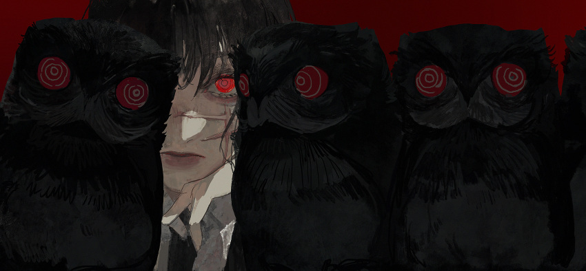 1girl bird black_hair blunt_bangs chainsaw_man close-up commentary dark_background demon demon_girl eucharist_(susukinoo) expressionless hand_on_own_chin head_rest highres looking_at_viewer one_eye_covered owl portrait potoo red_background red_eyes ringed_eyes scar scar_on_cheek scar_on_face serious simple_background sinister solo symbol-only_commentary war_devil_(chainsaw_man) yoru_(chainsaw_man)