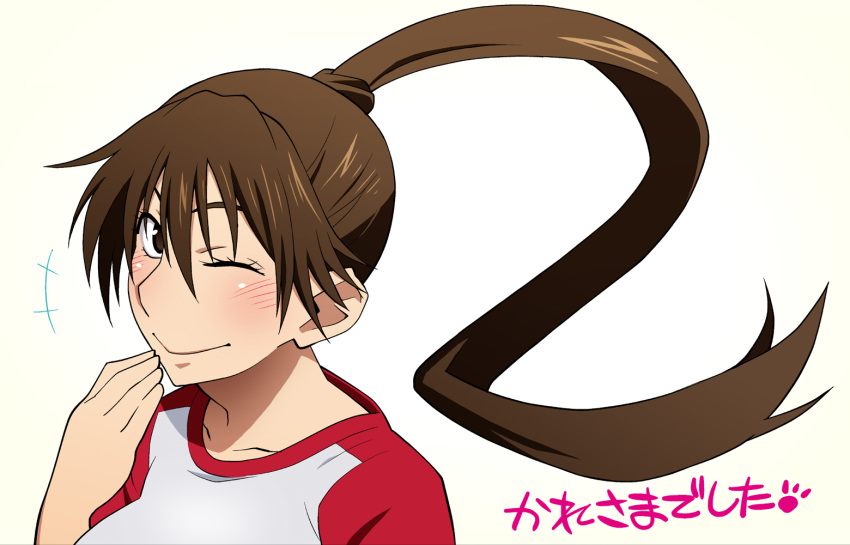 00s 1girl baseball blush breasts brown_hair huge_breasts long_hair momoe_maria ookiku_furikabutte ponytail smile solo sportswear sweat tetrodotoxin wink