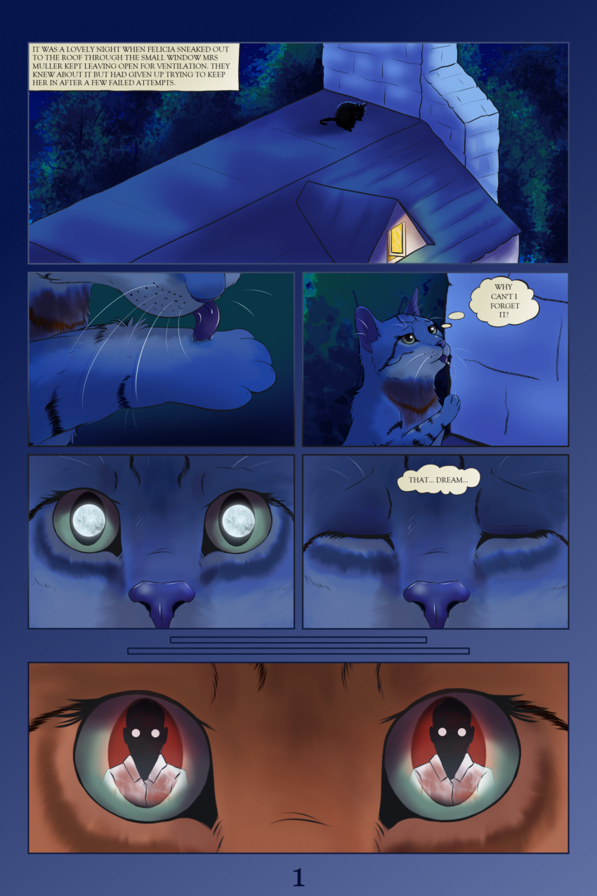 african_wildcat comic domestic_cat dream english_text felid feline felis female feral hi_res human mammal moon night outside personal_grooming pspspsy reflection reflection_in_eyes rooftop silhouette text thought_bubble wildcat