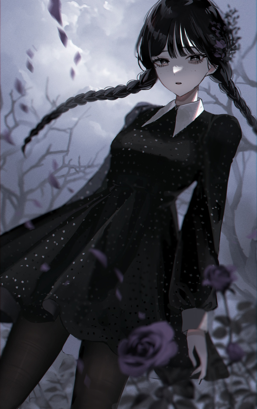 1girl addams_family bare_tree black_dress black_hair black_nails black_pantyhose braid brown_eyes cloud cloudy_sky cowboy_shot dress eyelashes flower freckles highres long_hair long_sleeves looking_at_viewer nail_polish outdoors pantyhose parted_lips petals purple_flower purple_rose rose sky solo tree twin_braids very_long_hair wednesday_(netflix) wednesday_addams yumeno_yume