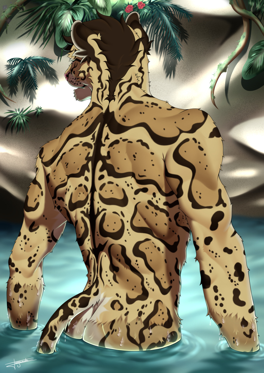 absurd_res anthro back_muscles biceps brown_body brown_fur butt clouded_leopard digital_media_(artwork) felid feline flower forest fur hair hi_res jagaimoto leopard male mammal muscular muscular_anthro muscular_male nude outside pantherine plant red_flower rock solo spots tail tree tropical_forest water water_drop wet wet_body wet_fur white_body white_fur yellow_body yellow_fur