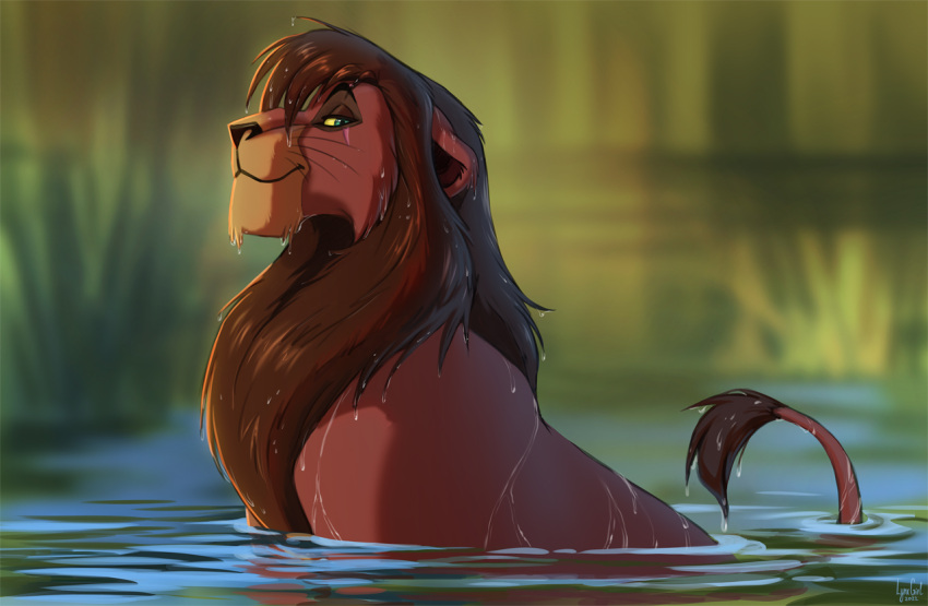 2023 bedroom_eyes disney felid feral fur kovu lion looking_at_viewer male mammal mane mouth_closed narrowed_eyes nude outside pantherine partially_submerged raised_tail reallynxgirl seductive side_view signature smile smiling_at_viewer solo tail tail_tuft the_lion_king tuft water wet whiskers