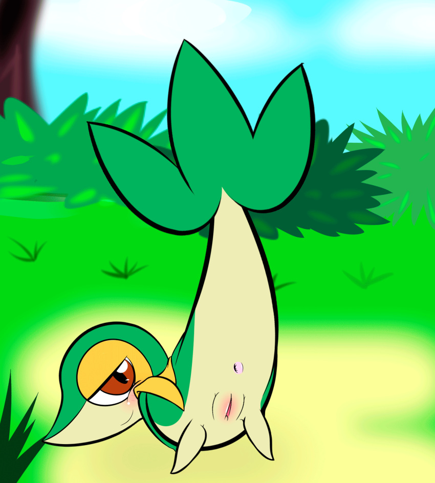 animated anus ass_up female feral generation_5_pokemon genitals grass hi_res jhussethy nintendo plant pokemon pokemon_(species) presenting presenting_anus presenting_pussy pussy raised_tail snivy solo tail