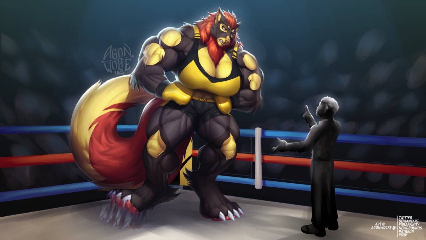 agonwolfe angry anthro big_breasts big_muscles black_body black_fur boxing_gloves breasts butt canid canine clothing duo female fighting_ring fur handwear hi_res huge_muscles humanoid hyper hyper_muscles mammal muscular muscular_female pawpads paws red_body red_fur referee size_difference