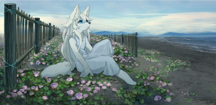 amazing_background anthro blue_eyes calm canid canine canis clothing cloud detailed_background distant dress ears_up female fence fencepost flower fur hair invalid_tag kemono lake lakeside landscape long_hair mammal mountain outside pink_flower pippi913 plant sitting solo solumn staring_up tail white_body white_clothing white_dress white_fur wolf wooden