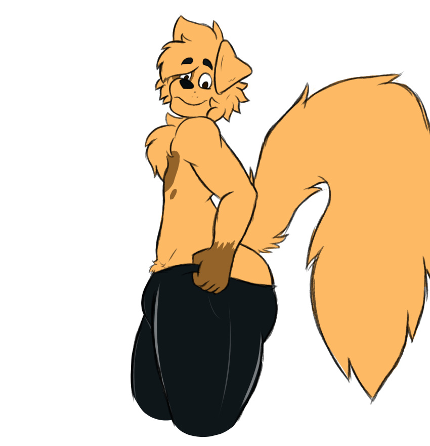 animated anthro big_butt big_tail bird_dog bulge butt butt_jiggle canid canine canis clothing diggy(diggydog) diggydog domestic_dog fluffy fluffy_hair fluffy_tail fur fur_markings golden_retriever hair hi_res hunting_dog jiggling leggings legwear looking_back male mammal markings neck_tuft pulling_up_pants retriever simple_background smile solo tail tight_clothing tights tuft