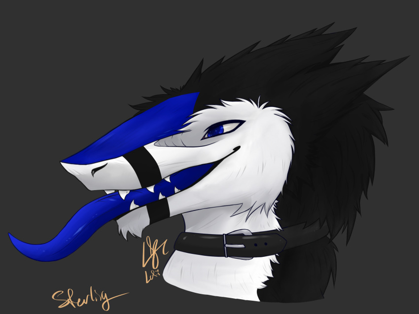 anthro blue_eyes collar headshot_(disambiguation) hi_res lofinebulae male portrait prize raffle sergal solo sterling_(sterling_sergal) tongue tongue_out