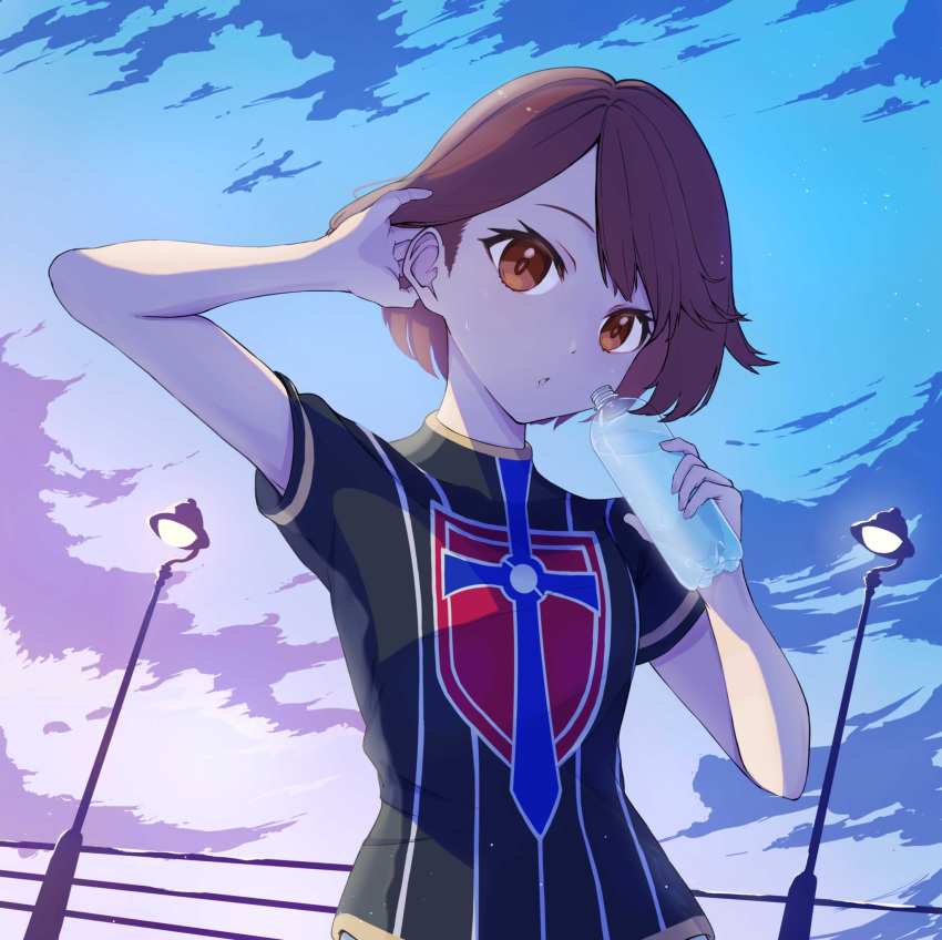 1girl bangs bottle brown_eyes brown_hair champion_uniform cloud commentary_request eyelashes fence gloria_(pokemon) hair_tucking highres holding holding_bottle lamppost looking_at_viewer outdoors parted_lips pokemon pokemon_(game) pokemon_swsh roka_(o-yasumi) shield_print shirt short_hair short_sleeves sky solo sword_print upper_body water_bottle