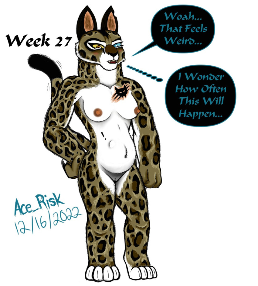anthro baby belly breasts clouded_leopard dreamworks felid feline female fur genitals hi_res kick kung_fu_panda mammal navel pantherine pregnant progression pussy solo spots spotted_body spotted_fur su_wu tattoo wide_hips wu_sisters young