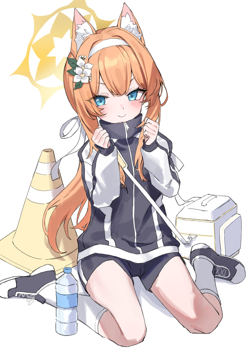 1girl absurdres animal_ear_fluff animal_ears bag bangs black_jacket blue_archive blue_eyes blunt_bangs blush bottle clenched_hands closed_mouth cooler flower full_body ganbaru_pose gym_shorts gym_uniform hair_flower hair_ornament hair_ribbon hairband halo hands_up haruyuki_(gffewuoutgblubh) high_collar highres jacket kneehighs long_hair long_sleeves looking_at_viewer mari_(blue_archive) mari_(gym_uniform)_(blue_archive) multicolored_clothes multicolored_jacket official_alternate_costume on_ground orange_hair ponytail ribbon shoes shorts shoulder_bag simple_background sitting smile sneakers socks solo track_jacket traffic_cone two-tone_jacket v-shaped_eyebrows wariza water_bottle white_background white_bag white_flower white_hairband white_jacket white_ribbon white_socks zipper