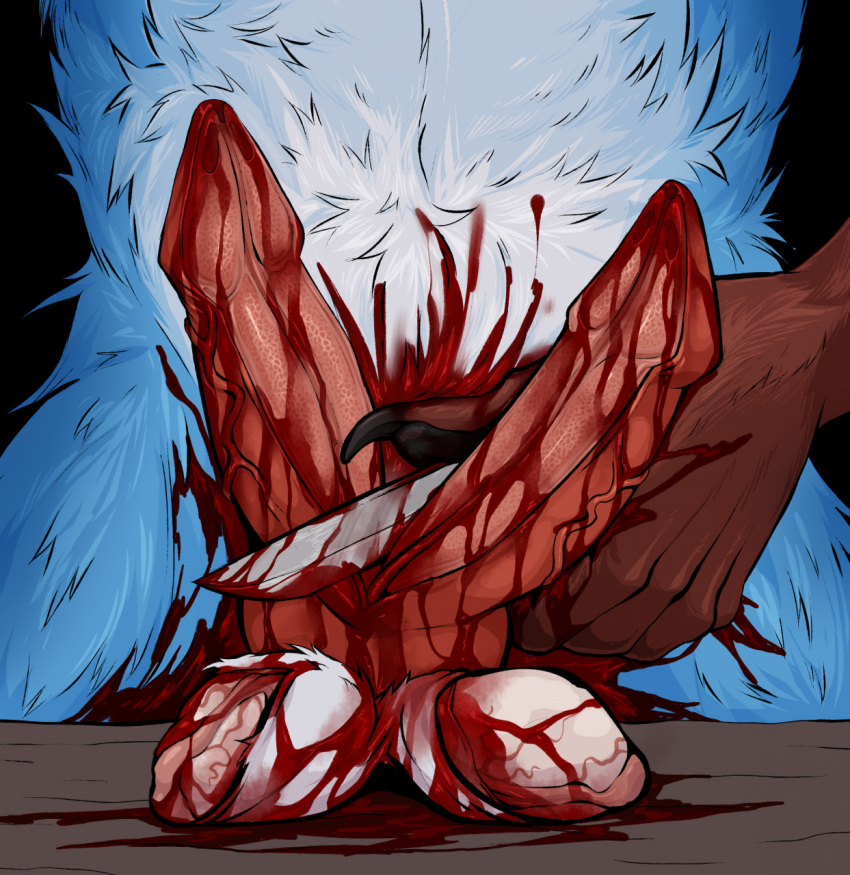 anthro aroused balls blood blue_body blue_fur bodily_fluids canid canine canis castration cock_and_ball_torture erection fur genital_mutilation genital_torture genitals gore hi_res knife kolkolukija male mammal pain skinning solo torture white_body white_fur wolf
