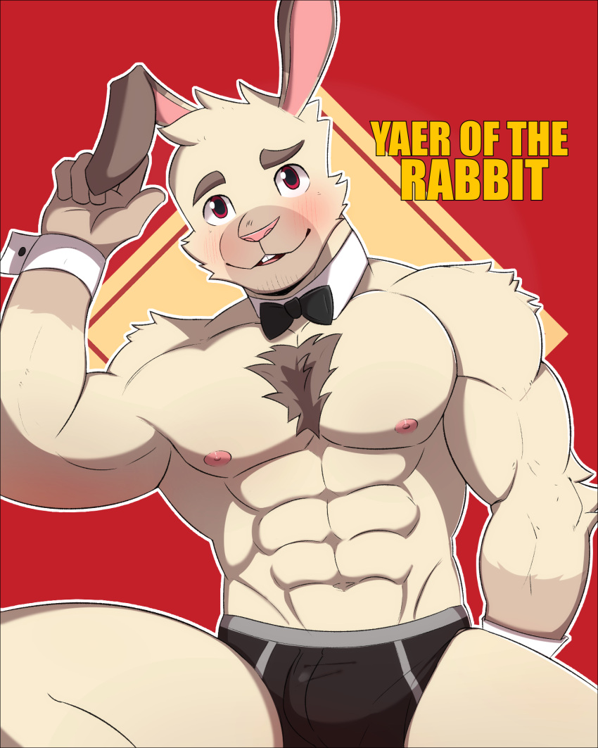 abs anthro blush bow_tie bulge chinese_zodiac clothed clothing fur hi_res lagomorph leporid long_ears looking_at_viewer male mammal muscular muscular_anthro muscular_male nipples open_mouth pecs rabbit shirt_collar smile solo underwear underwear_only waterwang white_body white_fur year_of_the_rabbit