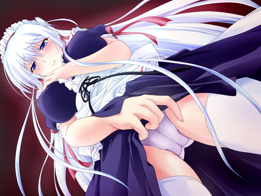 blue_eyes blush dutch_angle game_cg gohoushi_sister!_sophie_&amp;_patty gohoushi_sister_-_sophie_&amp;_paty maid panties simple_background skirt_lift sophia_luise underwear white_hair yamagarasu