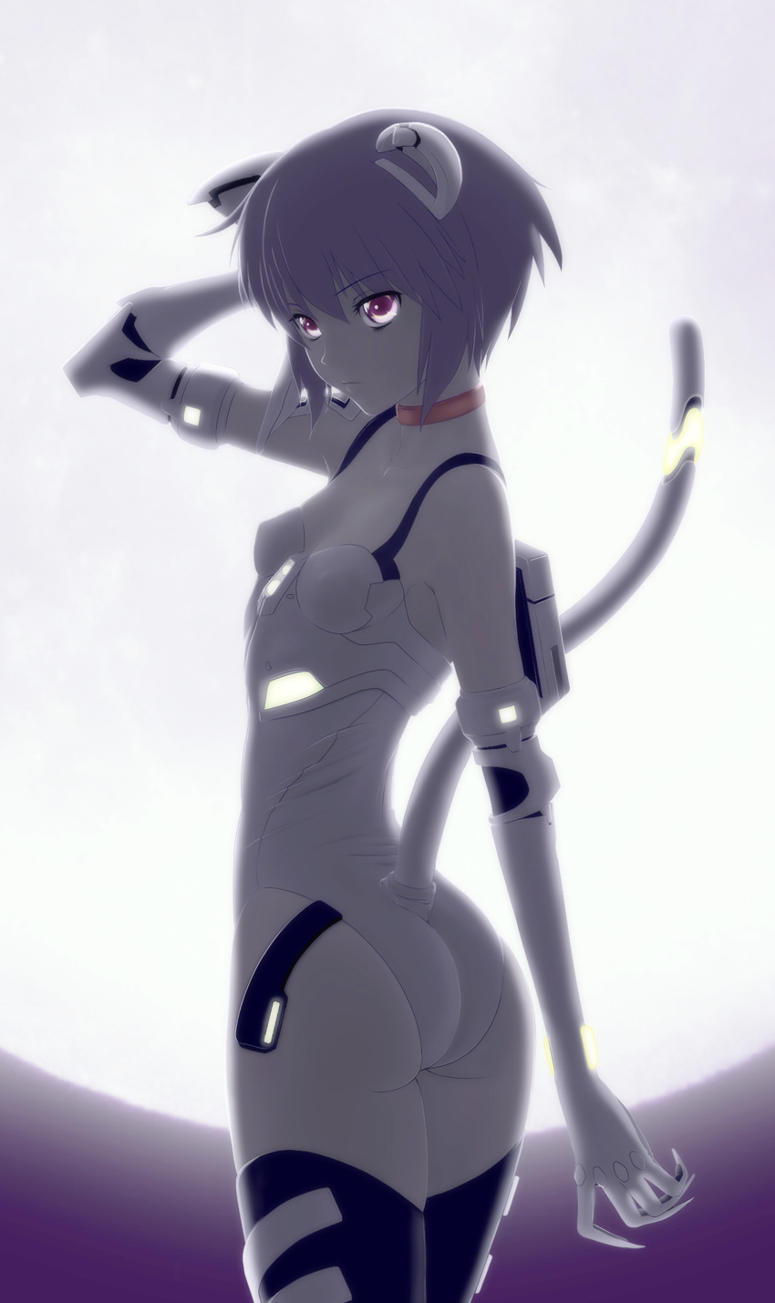 adapted_costume akahige animal_ears arm_at_side ass ayanami_rei ayanami_rei_(cosplay) backlighting bangs black_legwear breasts cat_ears cat_tail claws closed_mouth collar collarbone cosplay cowboy_shot elbow_gloves expressionless eyebrows_visible_through_hair fake_animal_ears fake_tail from_side full_moon gloves glowing grey_hair hair_between_eyes hand_behind_head hand_up headgear highres leotard moon moonlight nagato_yuki neon_genesis_evangelion neon_trim night night_sky outdoors pilot_suit plugsuit purple_eyes red_collar short_hair skin_tight sky slender_waist small_breasts solo super_plugsuit suzumiya_haruhi_no_yuuutsu tail thighhighs thighs trait_connection twisted_torso white_gloves white_leotard