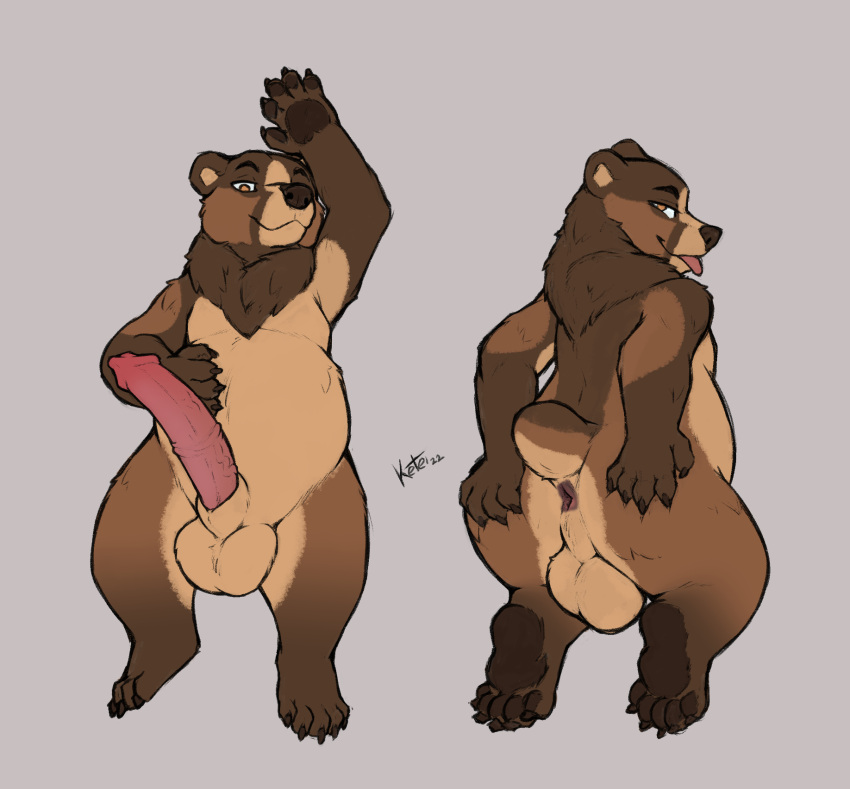 anus balls bear belly big_balls big_penis brown_bear butt dakimakura_design dakimakura_pose genitals grizzly_bear hair hi_res huge_penis ketei kuruk_(character) looking_at_viewer looking_back lying male mammal mane mane_hair nude on_back on_front pawpads paws penis presenting presenting_anus presenting_hindquarters presenting_penis semi-anthro slightly_chubby solo spread_butt spreading tongue tongue_out ursine