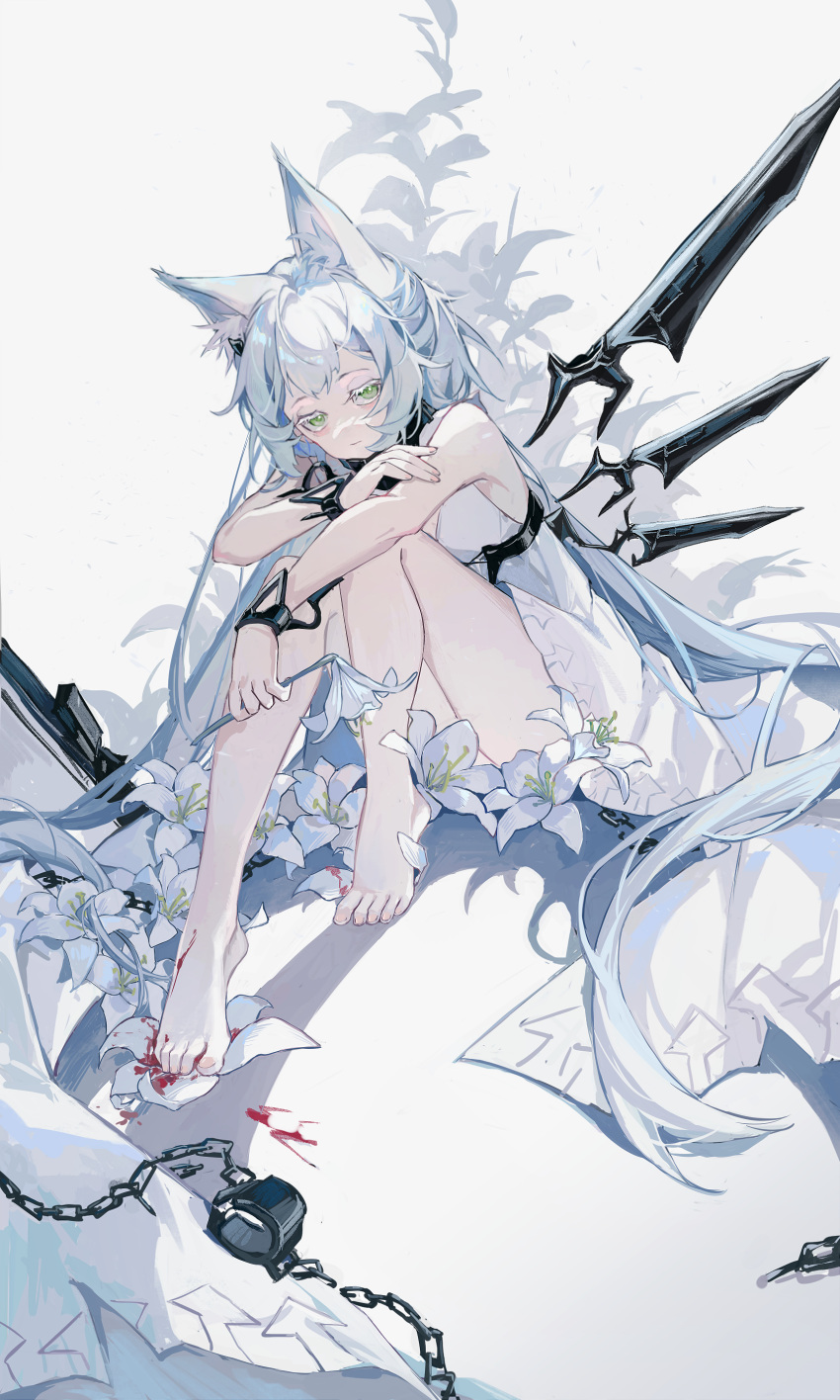 1girl absurdres animal_ear_fluff animal_ears arknights bags_under_eyes bare_shoulders barefoot blood cat_ears cat_girl chinese_commentary closed_mouth commentary_request cuffs dress eyelashes floating_hair flower full_body green_eyes half-closed_eyes highres holding holding_flower long_hair looking_at_viewer official_alternate_costume rosmontis_(arknights) rosmontis_(become_anew)_(arknights) shackles shieryue164 sitting sleeveless sleeveless_dress solo toenails white_dress white_flower white_hair
