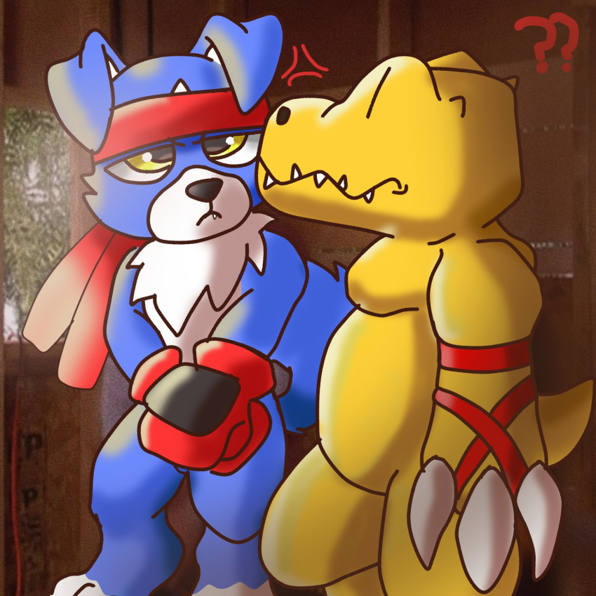 accessory agumon anthro bandai_namco blue_body blue_fur boxing_gloves claws clothing cross-popping_vein digimon digimon_(species) digimon_data_squad duo fur gaomon handwear headband hi_res male question_mark yellow_body youwantstars