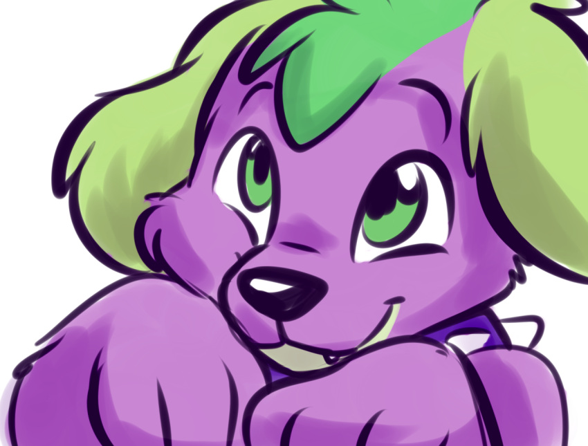 2016 black_nose canid canine canis collar digital_media_(artwork) digital_painting_(artwork) domestic_dog equestria_girls eyebrows feral fizzy-dog fur green_ears green_eyes hasbro looking_at_viewer male mammal my_little_pony paws purple_body purple_collar purple_fur simple_background smile solo spike_(eg) spiked_collar spikes white_background