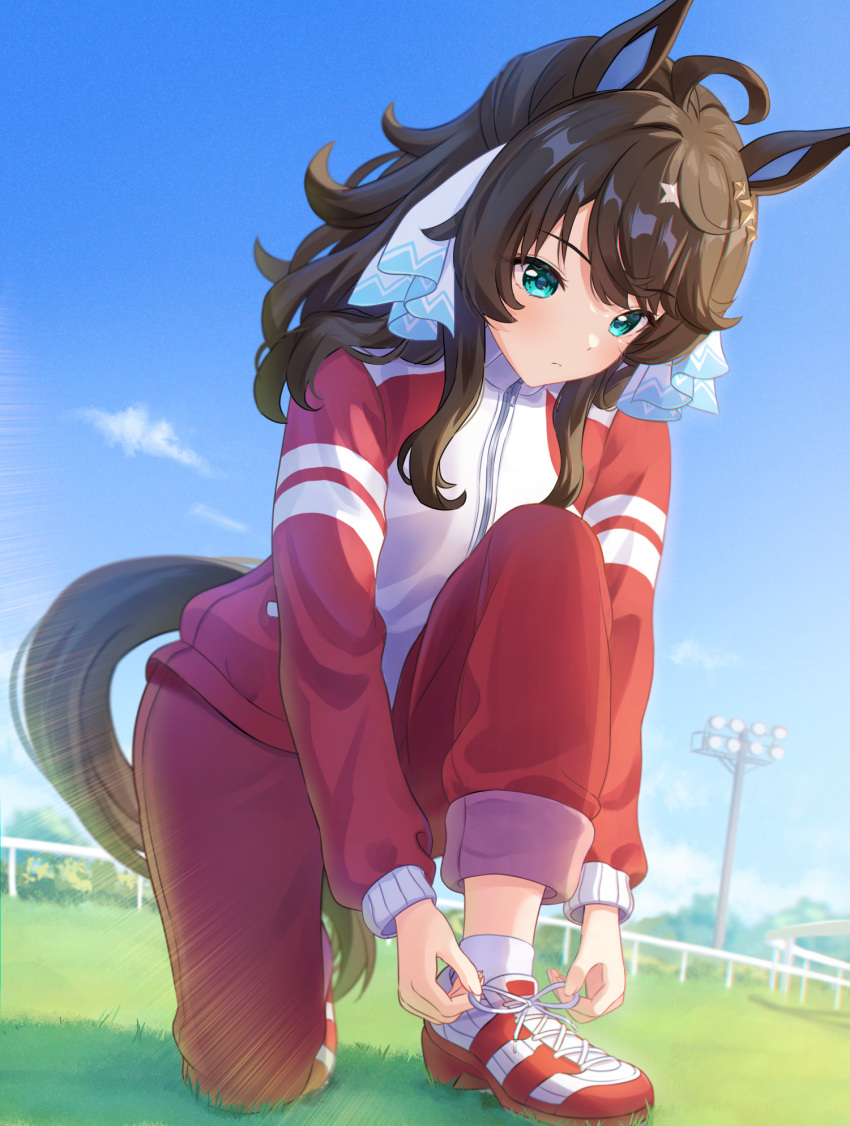 1girl ahoge animal_ears aqua_eyes bangs blue_sky blush brown_hair closed_mouth daring_tact_(umamusume) day full_body grass hair_ornament highres horse_ears horse_girl horse_tail jacket kashmir_0808 lens_flare long_hair long_sleeves one_knee outdoors pants ponytail red_footwear red_pants shoes sky sneakers socks solo star_(symbol) star_hair_ornament tail track_jacket track_pants tying_footwear umamusume white_jacket white_socks