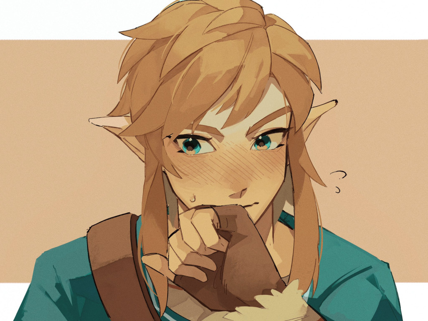 1boy bangs blonde_hair blush brown_background closed_mouth fingerless_gloves flying_sweatdrops gloves green_eyes green_shirt highres link pisu_1107 pointy_ears portrait shirt solo sweatdrop the_legend_of_zelda the_legend_of_zelda:_breath_of_the_wild white_background