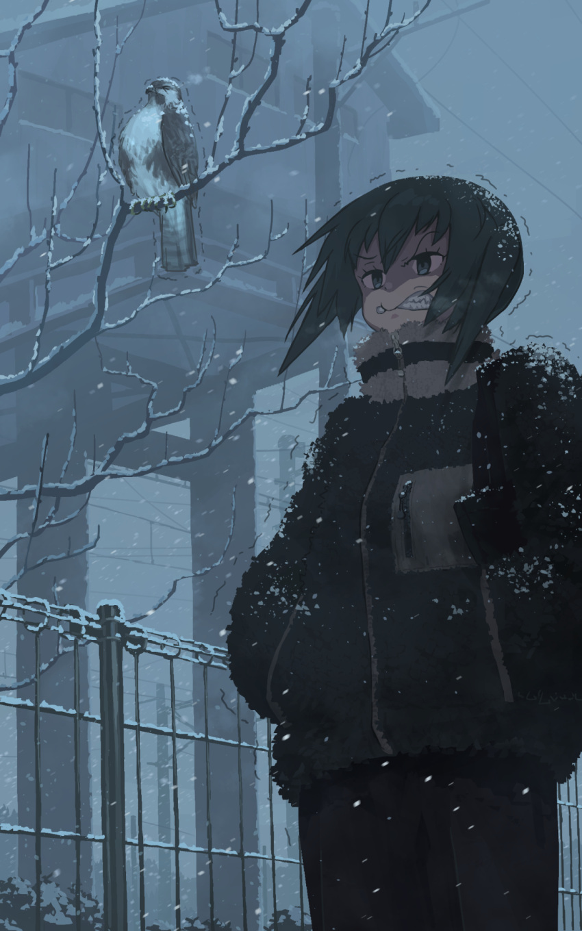 1girl bare_tree bird black_coat black_eyes black_hair building buzzard coat cold feet_out_of_frame fence floating_hair grimace hands_in_pockets haze high_collar highres long_sleeves natsuno_kanasemi original overcast scenery shaded_face short_hair short_twintails snow snow_on_body snow_on_head standing tree trembling twintails v-shaped_eyebrows white_sky winter winter_clothes winter_coat zipper_pull_tab