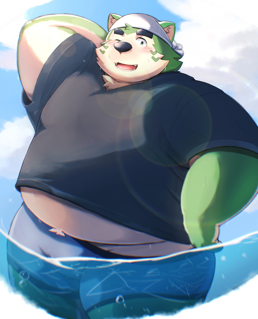 2023 absurd_res anthro belly big_belly black_nose blush canid canine canis clothing cloud detailed_background domestic_dog green_body hi_res kemono lifewonders live_a_hero male mammal metaporin mokdai one_eye_closed outside overweight overweight_male shirt solo swimwear topwear water wink