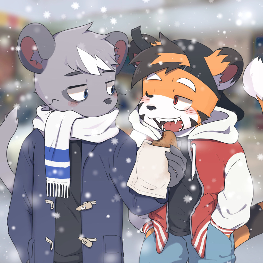 1:1 absurd_res anthro backwards_baseball_cap backwards_hat baseball_cap blush clothing duo felid gelato_(latotabo) hat headgear headwear hi_res latotabo male male/male mammal murid murine pantherine rat rodent scarf snow snowing tiger tiger_boy_(latotabo)