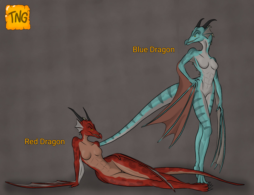 anthro athletic beak blue_body blue_scales demon demon's_souls dragon duo female femme_fatale fromsoftware hi_res horn lying on_side red_body red_scales scales sensual the_nameless_guy toned_female winged_arms wings wyvern