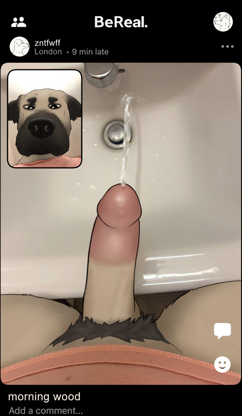 absurd_res anthro bodily_fluids canid canine canis circumcised domestic_dog echto erection genital_fluids genitals hi_res humanoid_genitalia humanoid_penis male mammal peeing penis sink urine