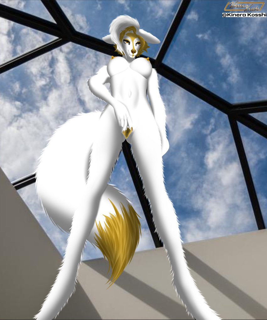 absurd_res anthro arctic_fox breasts canid canine e621 female fox fur genitals hi_res kinera_kosshi mammal nipples nude pussy sex spread_legs spread_pussy spreading thick_thighs tight_pussy yellow_body yellow_fur