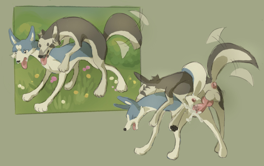 absurd_res anatomically_correct anatomically_correct_genitalia anatomically_correct_penis anus canid canine canis domestic_dog duo female female_penetrated feral feral_on_feral feral_penetrated feral_penetrating feral_penetrating_feral from_behind_position genitals ginga_(series) grass green_background hi_res jerome_(ginga) knot labbit1337 lydia_(ginga) male male/female male_penetrating male_penetrating_female mammal mounting penetration penis pink_anus pink_penis plant raised_leg sex simple_background