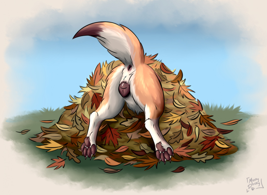 2023 anatomically_correct anatomically_correct_anus anatomically_correct_genitalia anatomically_correct_pussy animal_genitalia animal_pussy anus artist_name ass_up brown_pawpads butt canid canine canine_genitalia canine_pussy canis claws dipstick_tail feet female feral fur genitals hi_res leaf_pile mammal markings muskydusky outside pawpads paws presenting presenting_anus presenting_hindquarters presenting_pussy pussy quadruped raised_tail signature sky solo stuck_in_leaf_pile tail tail_markings tan_body tan_fur toe_claws toes white_body white_fur wolf
