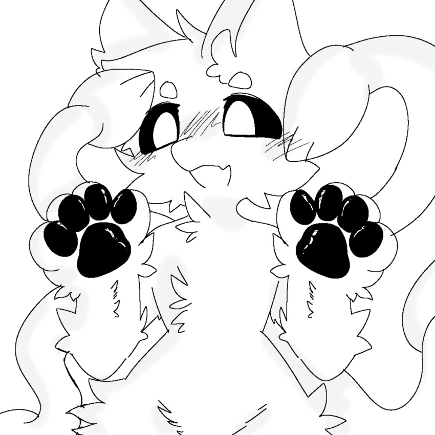 12_iona 1:1 ambiguous_gender black_and_white blush blush_lines changed_(video_game) eyebrows fur hi_res inner_ear_fluff monochrome pawpads paws solo squid_dog_(changed) tuft