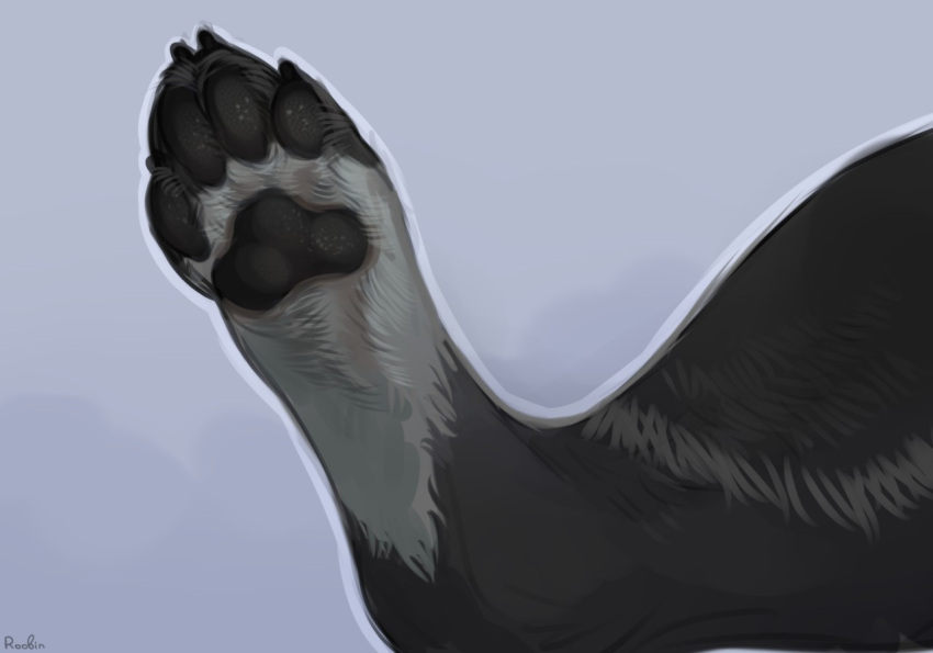 ambiguous_form ambiguous_gender ambiguous_species black_body black_claws black_fur black_pawpads blue_background claws faceless_ambiguous faceless_character foot_shot fur grey_body grey_fur pawpads roobin signature simple_background solo