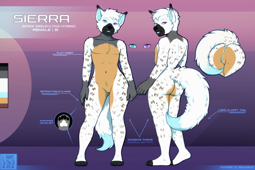 absurd_res alexa_neon anus black butt caramell character details female flat_chested furry genitals gray hi_res hole_(disambiguation) info invalid_tag model_sheet muscular nsfw pussy sheet_(disambiguation) sierra sierrathewynx white wynx