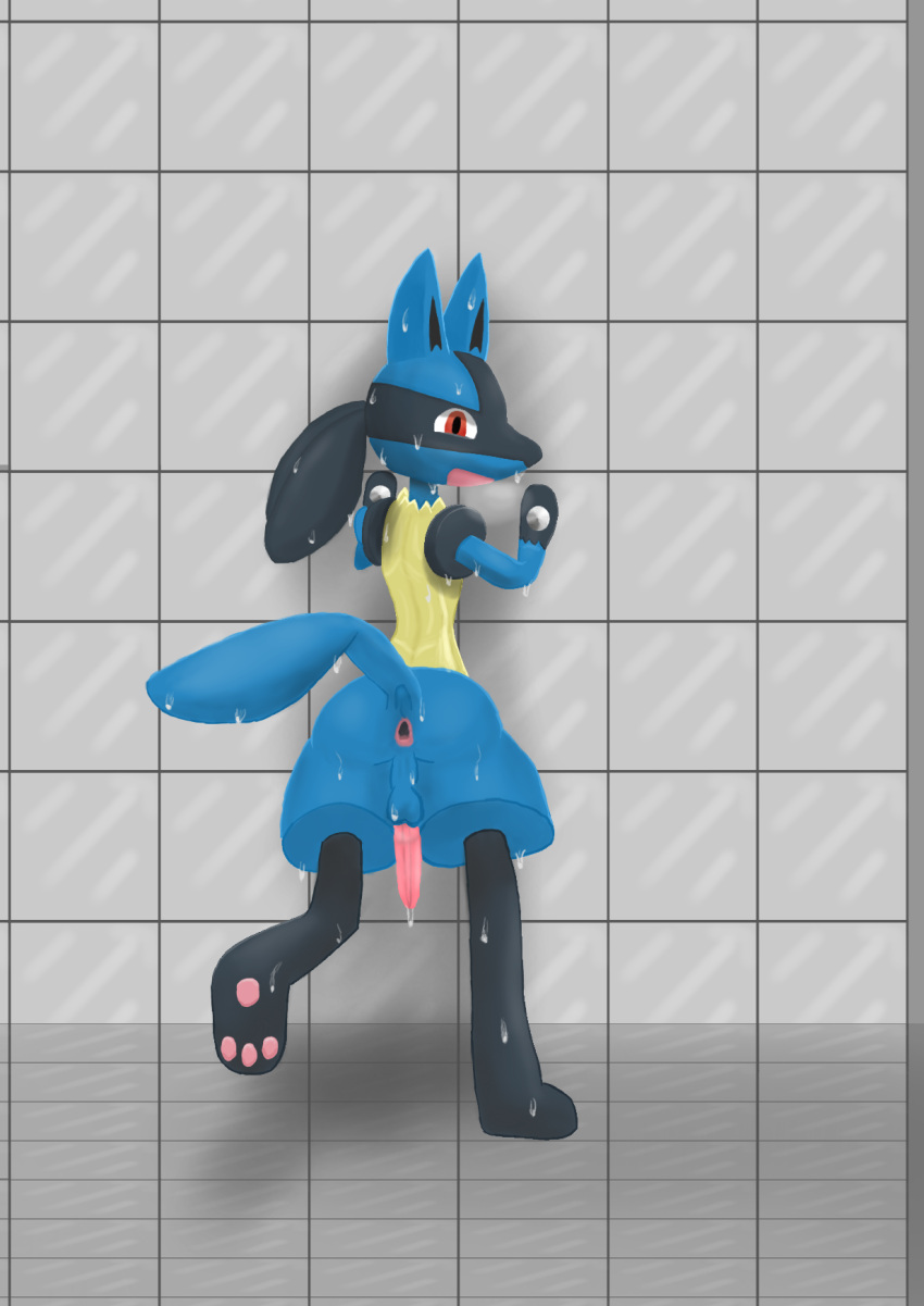 anthro anus generation_4_pokemon genitals hi_res lucario male nintendo penis pokemon pokemon_(species) simple_background solo wet