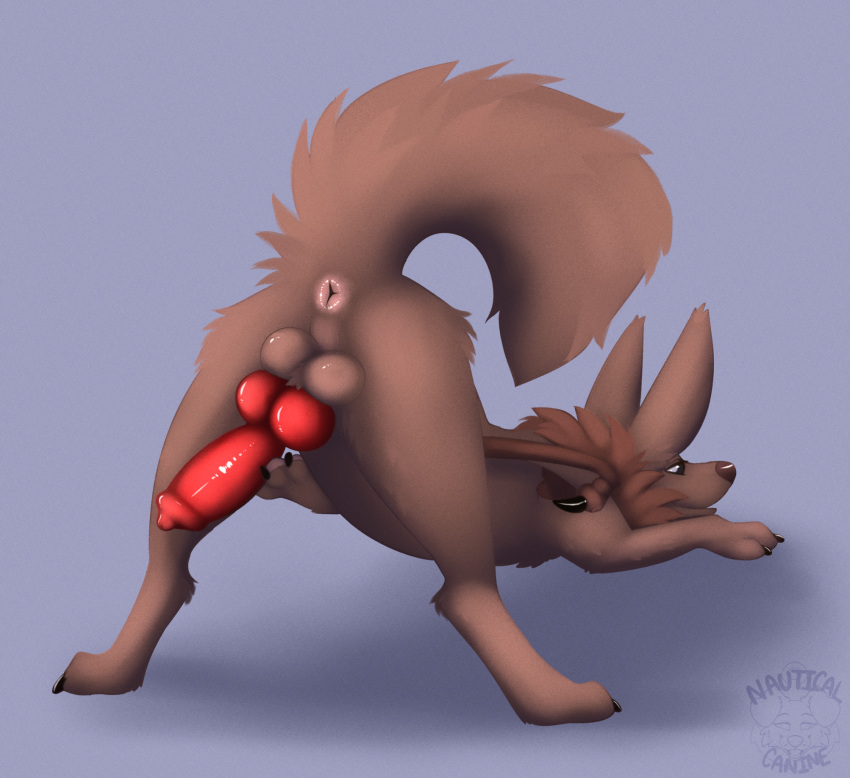 2023 animal_genitalia animal_penis anus balls bat big_ears big_penis blue_background brown_body brown_fur canid canine canine_genitalia canine_penis canis digital_media_(artwork) feral fur genitals hi_res hybrid knot lying male mammal nauticalcanine neck_tuft on_front penis presenting raised_tail red_penis simple_background solo tail tuft watermark wings wolf