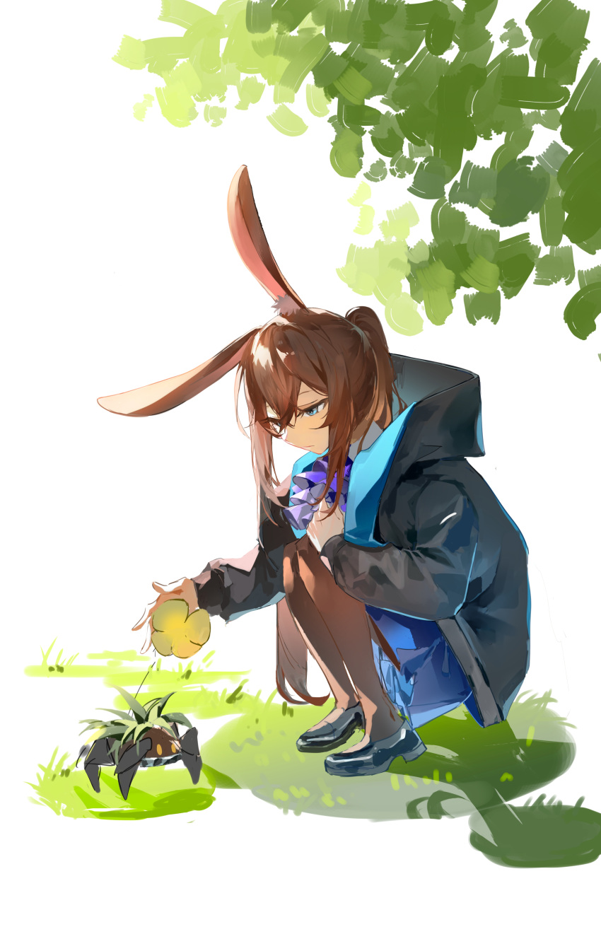 1girl absurdres amiya_(arknights) animal_ear_fluff animal_ears arknights ascot bangs black_footwear black_jacket blue_eyes blue_skirt brown_hair brown_pantyhose flower hair_between_eyes highres hood hood_down hooded_jacket jacket long_hair long_sleeves metal_crab_(arknights) on_grass open_clothes open_jacket pantyhose pleated_skirt ponytail puffy_long_sleeves puffy_sleeves purple_ascot rabbit_ears shirt shoes sidelocks simple_background skirt sleeves_past_wrists squatting unaligned_ears very_long_hair white_background white_shirt yellow_flower zao6702235