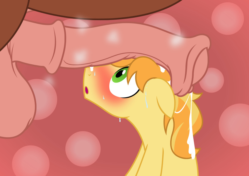 2019 animal_genitalia animal_penis badumsquish balls big_penis blush braeburn_(mlp) duo equid equine equine_penis faceless_male feral friendship_is_magic horse looking_at_penis male male/male mammal my_little_pony penis penis_on_head pony precum simple_background sweat toony troubleshoes_(mlp)