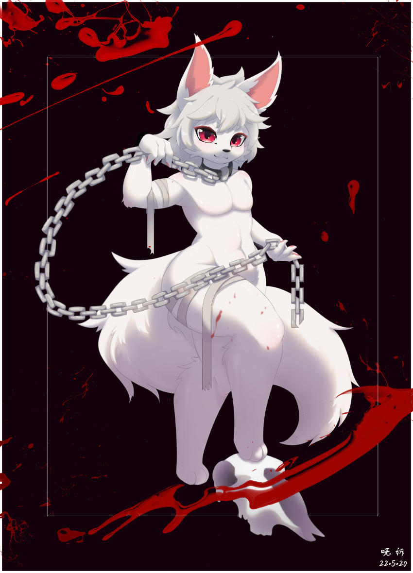 2022 3_toes 4_fingers :3 absurd_res anthro arm_tuft bandage biped black_background black_pupils blood blood_splatter bodily_fluids bone canid canine canis chain chain_leash cheek_tuft collar colored digital_media_(artwork) elbow_tuft eyelashes facial_tuft feet fingers fluffy fluffy_tail front_view full-length_portrait fur fusu girly glistening glistening_body glistening_eyes glistening_fur glistening_hair hair hi_res hindpaw holding_chain holding_leash holding_object holding_own_leash humanoid_hands kemono leash leash_and_collar leg_tuft looking_at_viewer male mammal monotone_body monotone_ears monotone_fur monotone_hair monotone_tail navel nude pawpads paws pecs pink_inner_ear pink_pawpads portrait pupils red_eyes shaded short_hair simple_background skull slim smile solo standing step_pose tail three-quarter_view toes tuft white_body white_ears white_fur white_hair white_tail wide_hips wolf