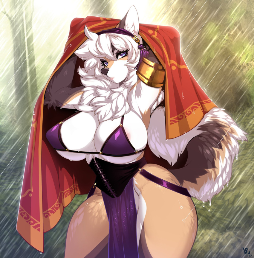 anthro big_breasts biped breasts canid canine countershade_face countershade_fur countershade_torso countershading extremedash female fur fur_tuft hi_res ingrid_(extremedash) inner_ear_fluff luckypan mammal raining solo tail tuft