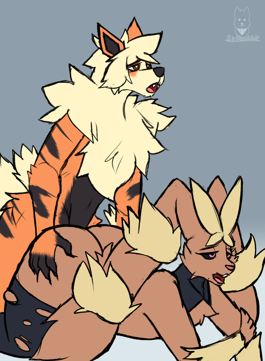 all_fours anthro arcanine doggystyle duo female from_behind_position generation_1_pokemon generation_4_pokemon hi_res lopunny male male/male male_penetrating mega_evolution mega_lopunny nintendo nipples penetration pokemon pokemon_(species) sex sirdoomwolf